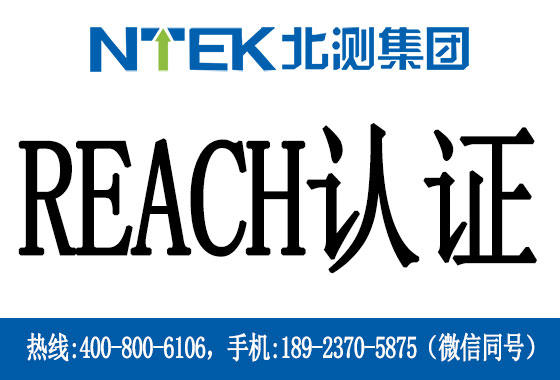 REACH֤ʲô