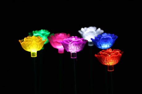 LED
