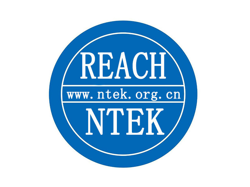 ŷREACH¼17