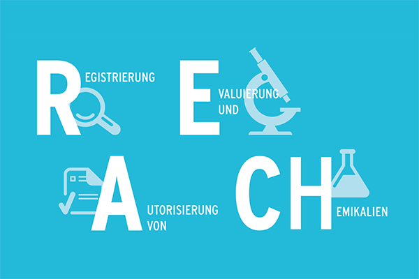 йREACH