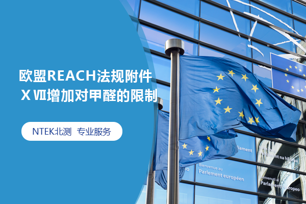 ŷREACH򸽼Լȩ